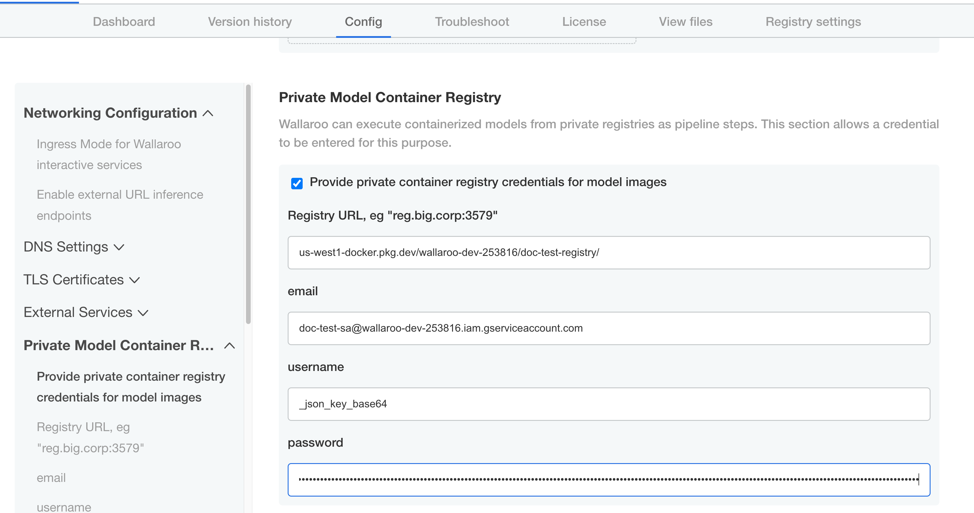 Private registry settings