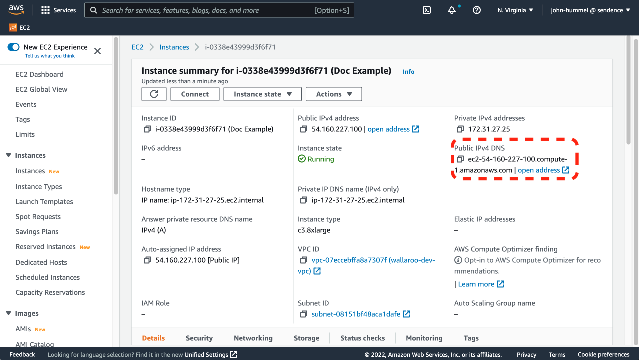 Instance Public DNS