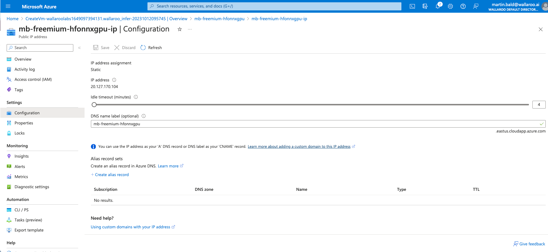 Wallaroo Inference Server DNS Settings