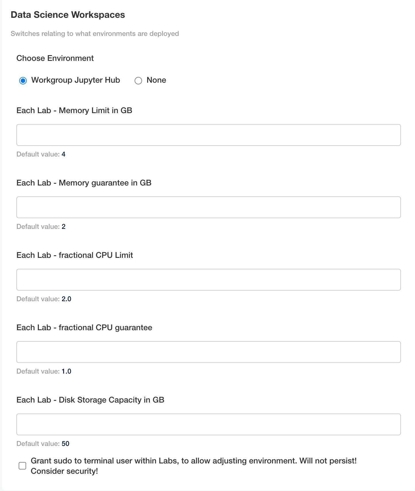 JupyterHub Lab Options