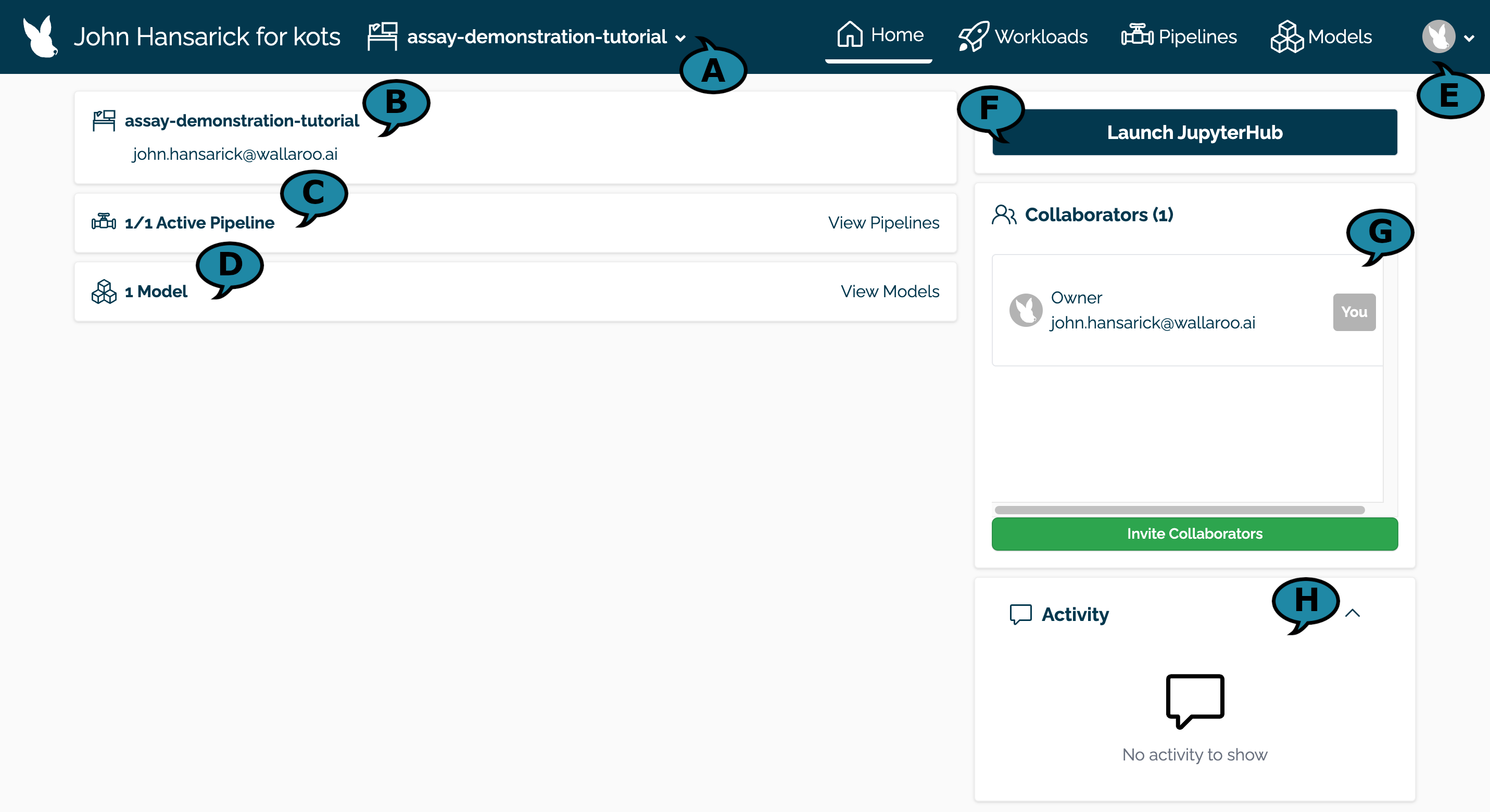 Wallaroo Workspace Dashboard