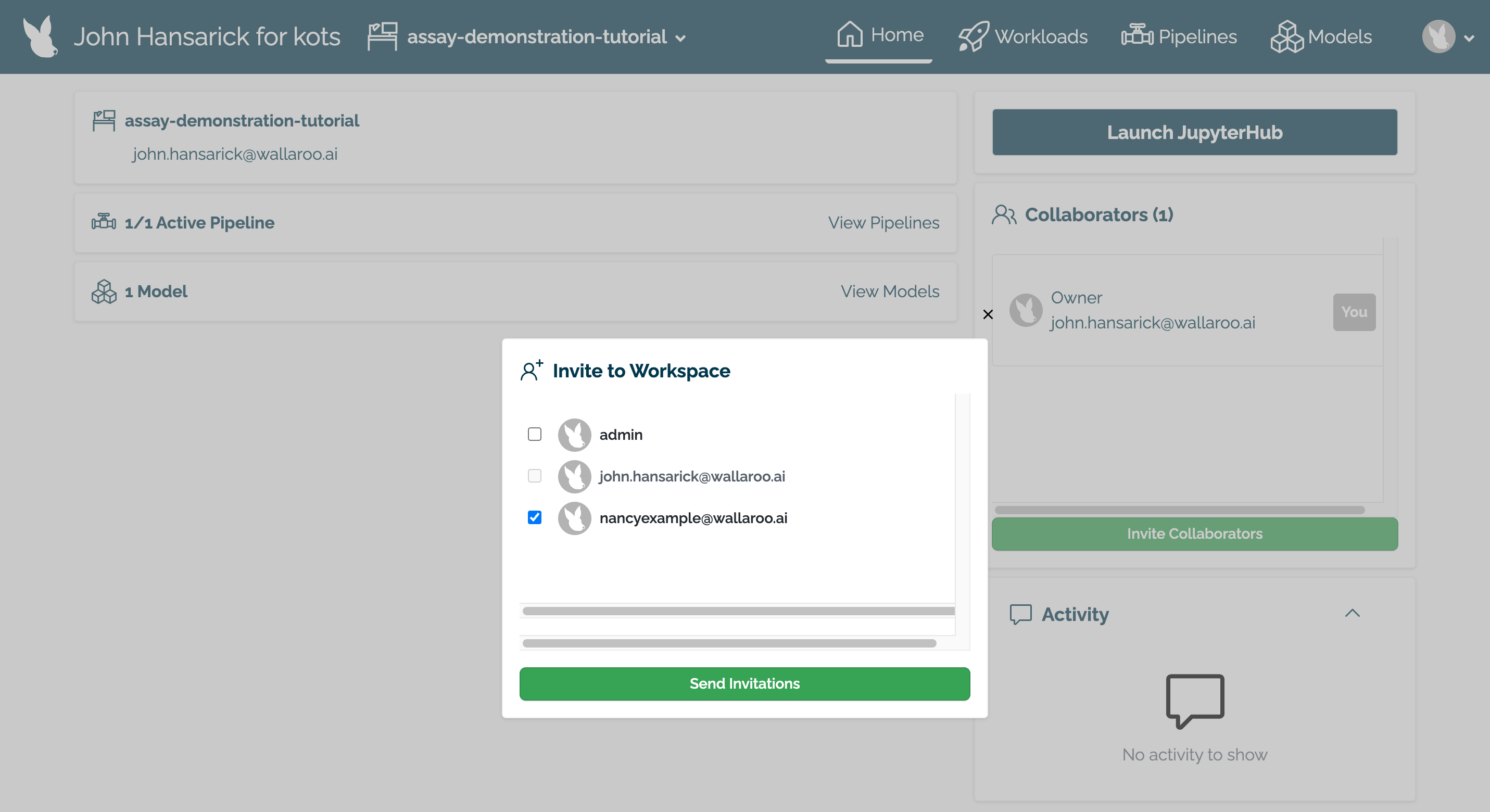 Wallaroo Invite Collaborators
